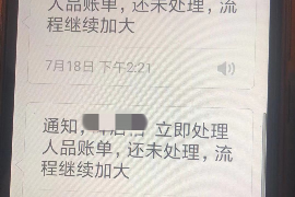 新郑新郑的要账公司在催收过程中的策略和技巧有哪些？